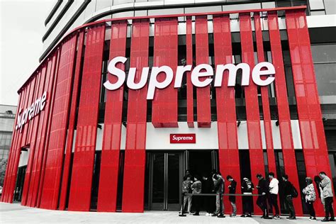 supreme italia lawsuit